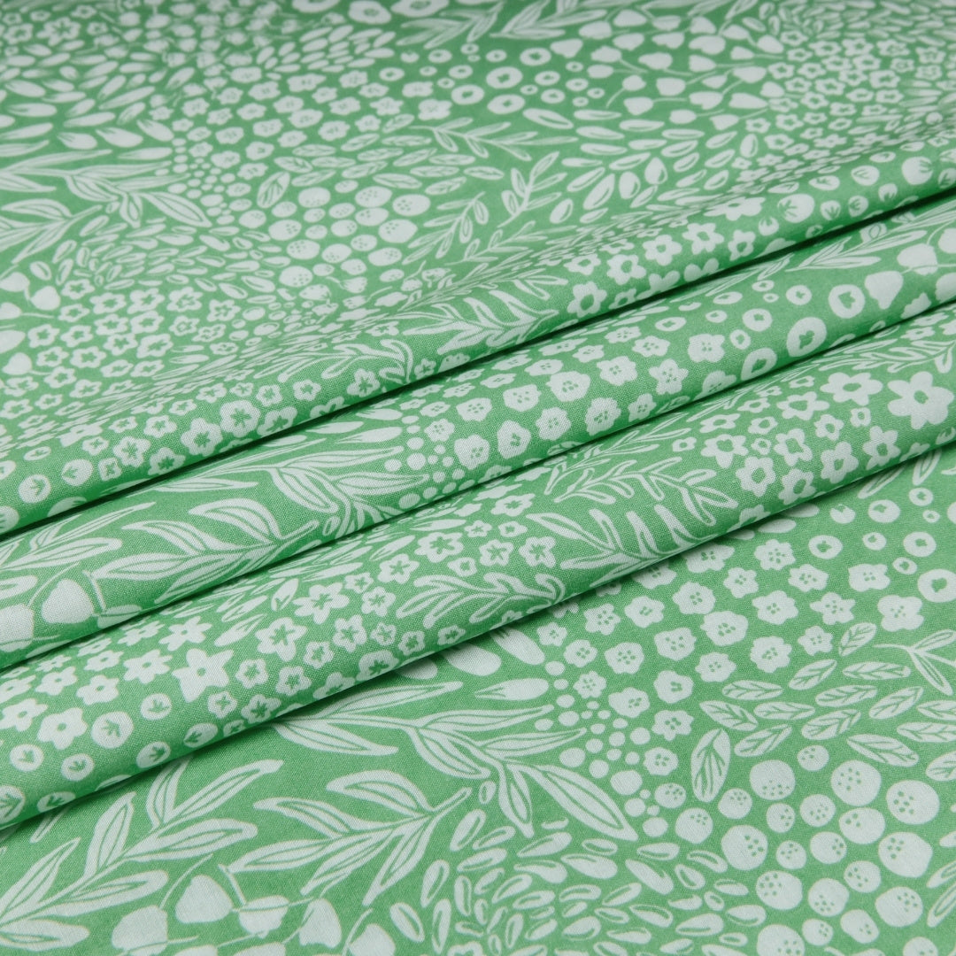 Fern